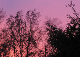 Abendrot am Föhnhimmel in München.